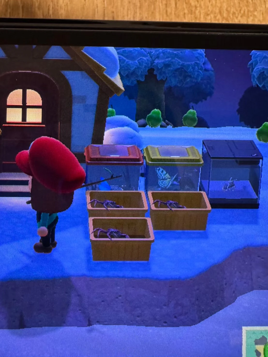 Switchを手に入れた 1