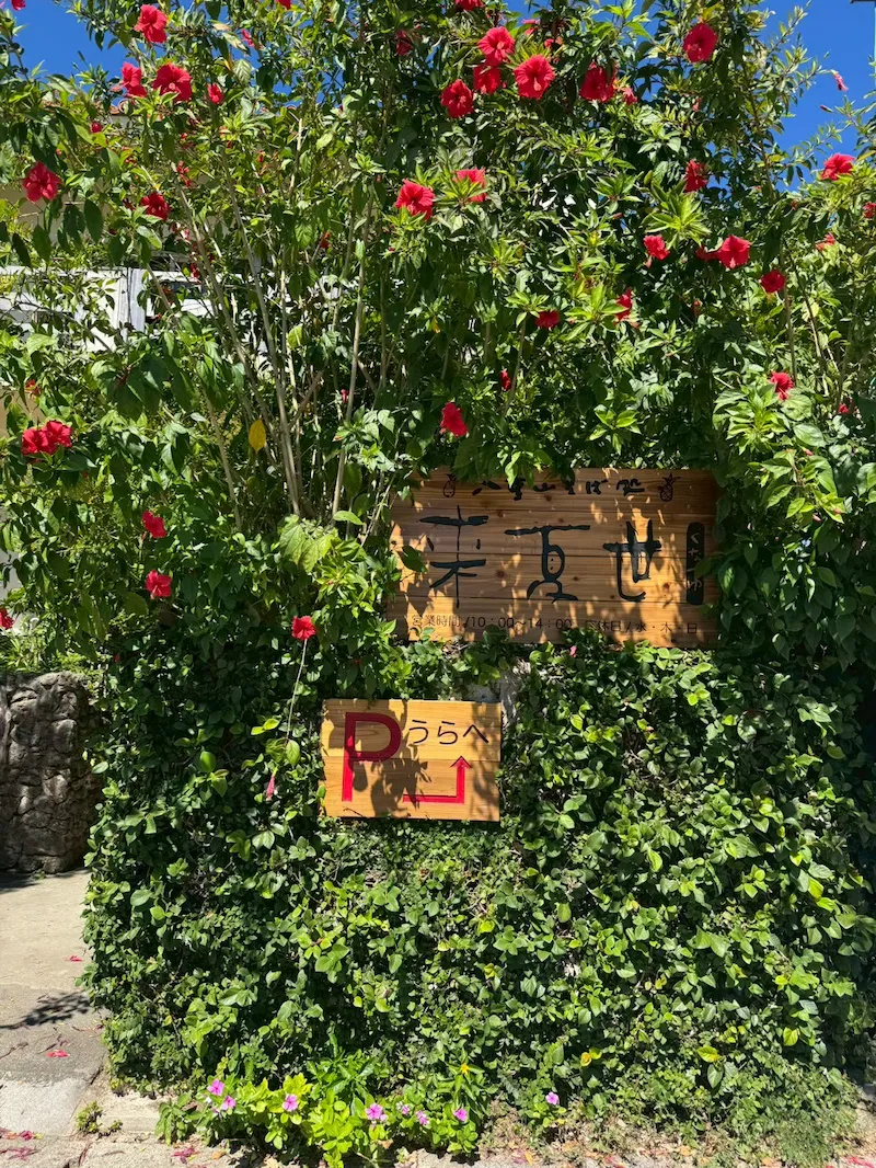 夏恒例の沖縄旅行 1