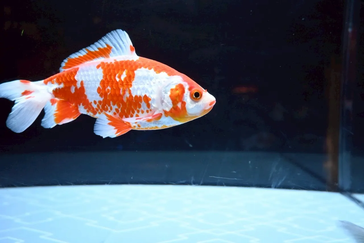 スカイツリー 2