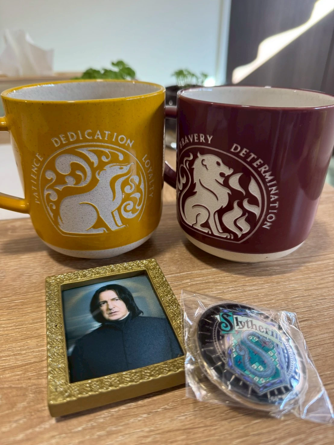 闇の魔術に対する防衛術 1